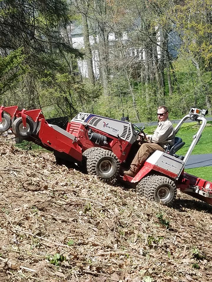 brush cutting